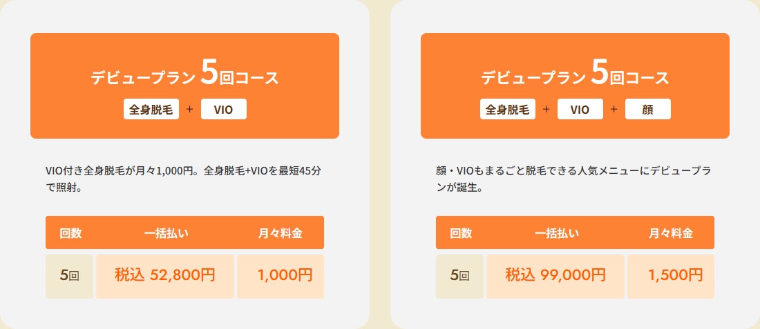 レジーナクリニックのデビュープラン料金画面